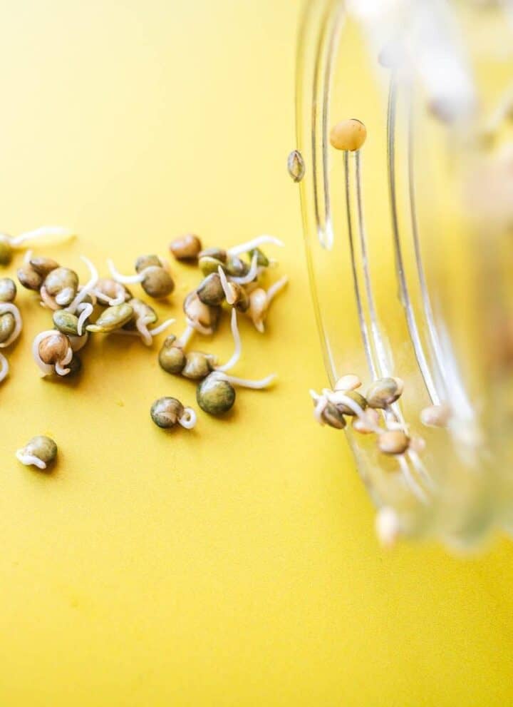 A glass jar spilling lentil sprouts onto a yellow surface.