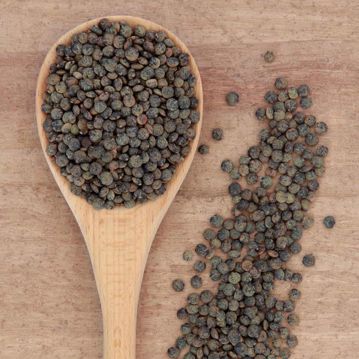 A wooden spoon adorned with black lentil seeds, showcasing their longevity as a storage staple