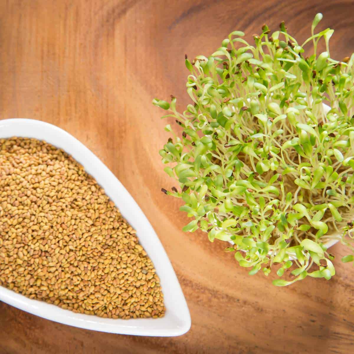 A bowl of sprouts and seeds on a wooden table.