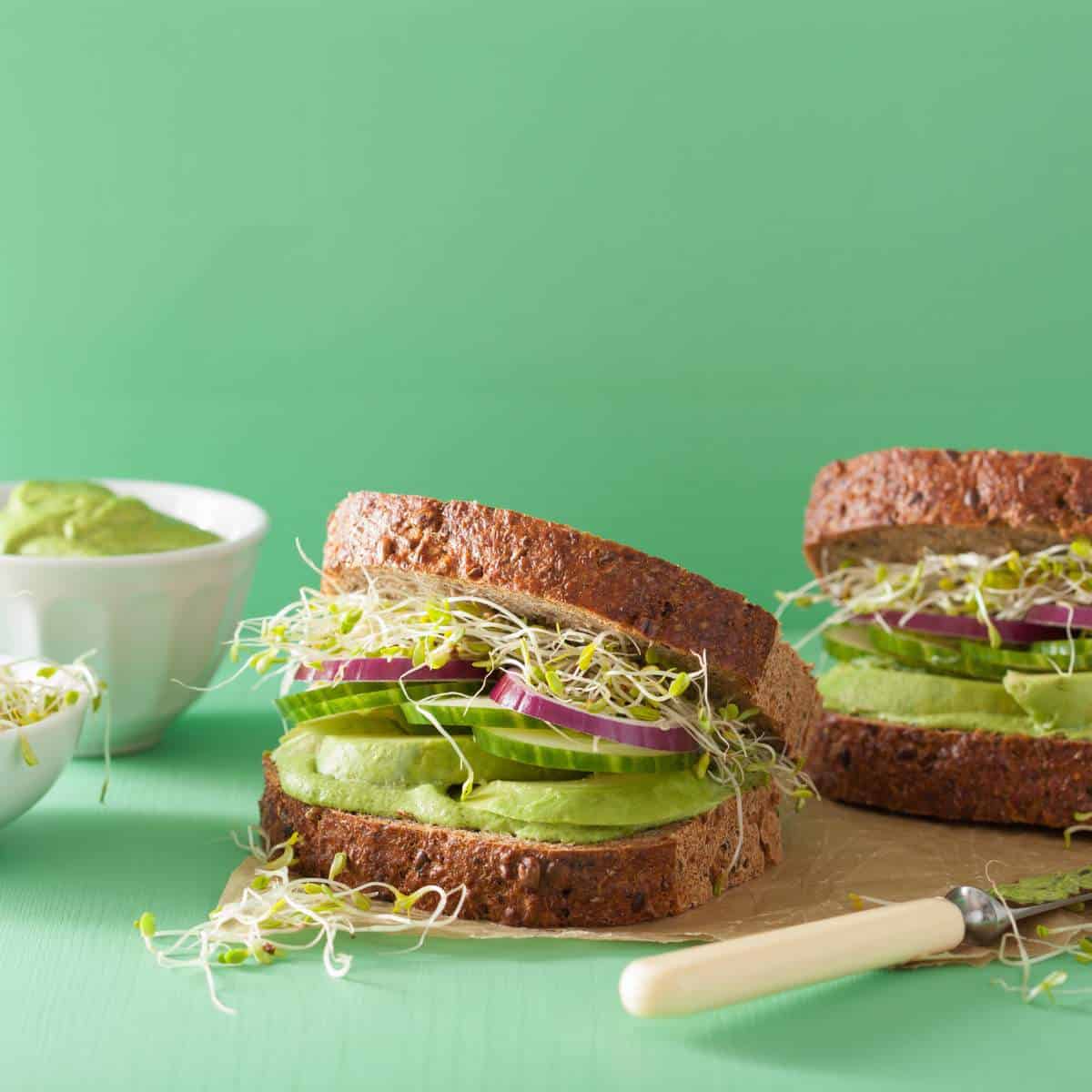 Two sandwiches with avocado and sprouts on a green background. Additionally, learn how to store alfalfa sprouts.
