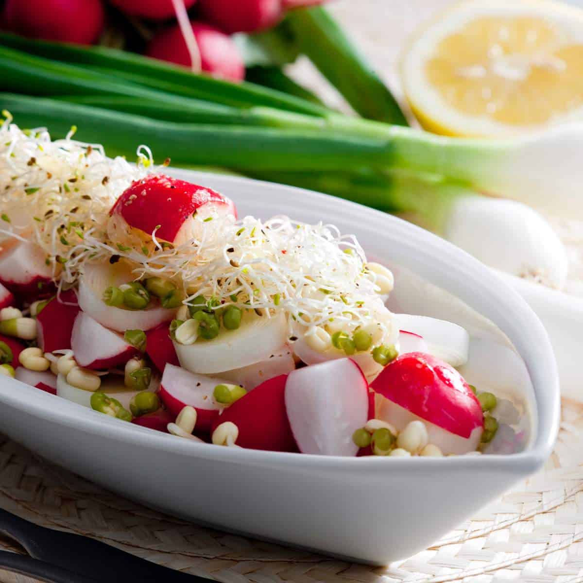 A white bowl filled with radishes, alfalfa sprouts, and other vegetables.