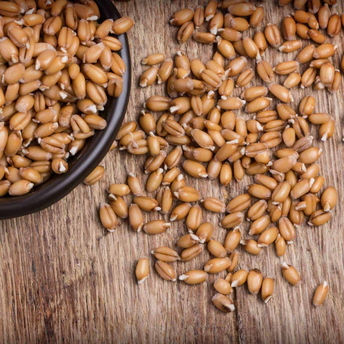 Wheat seeds in a bowl on a wooden table.