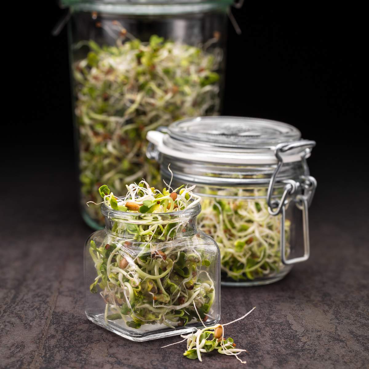 Sprouts in glass jars on a dark surface.