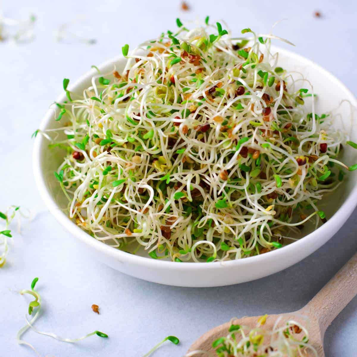 Learn how to eat sprouts with a wooden spoon.