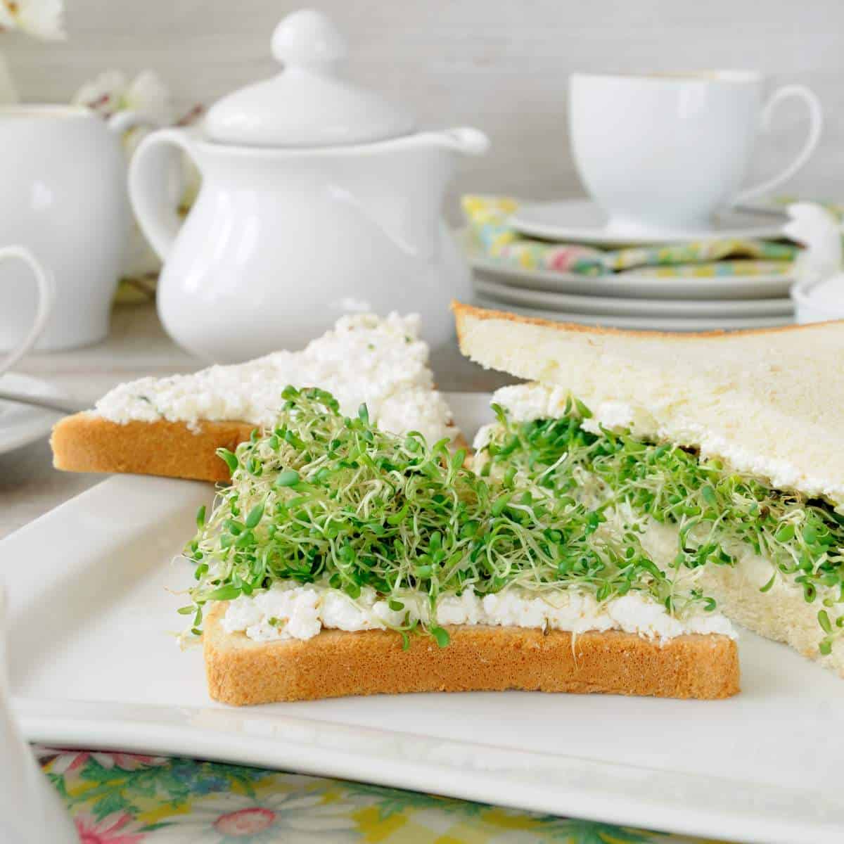 A white plate with a sandwich and a cup of tea.