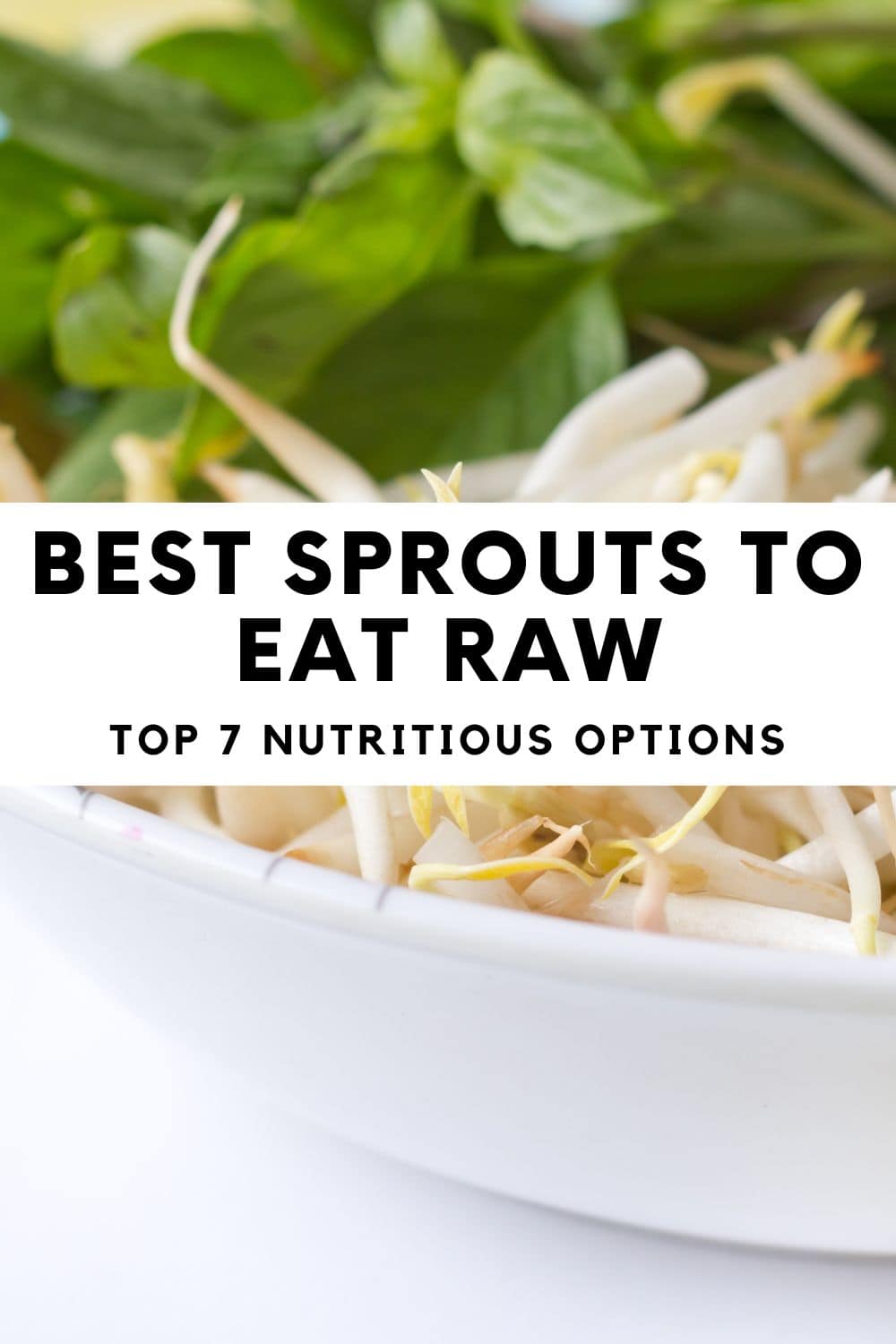 Explore the top 7 highly nutritious sprouts to eat raw.