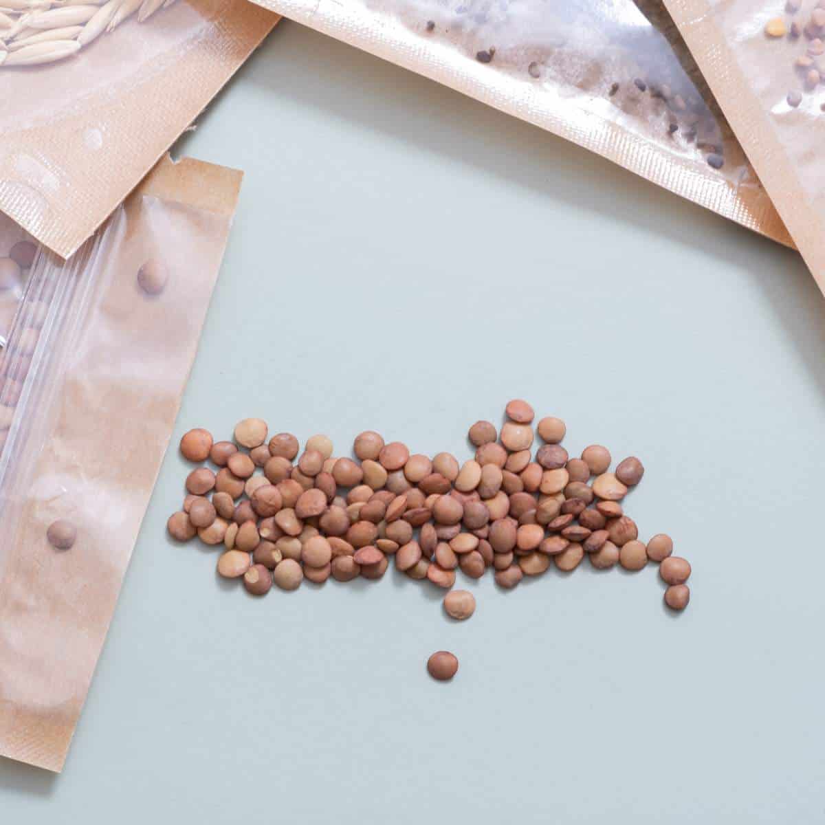 A handful of lentil microgreens in a plastic bag on a table.