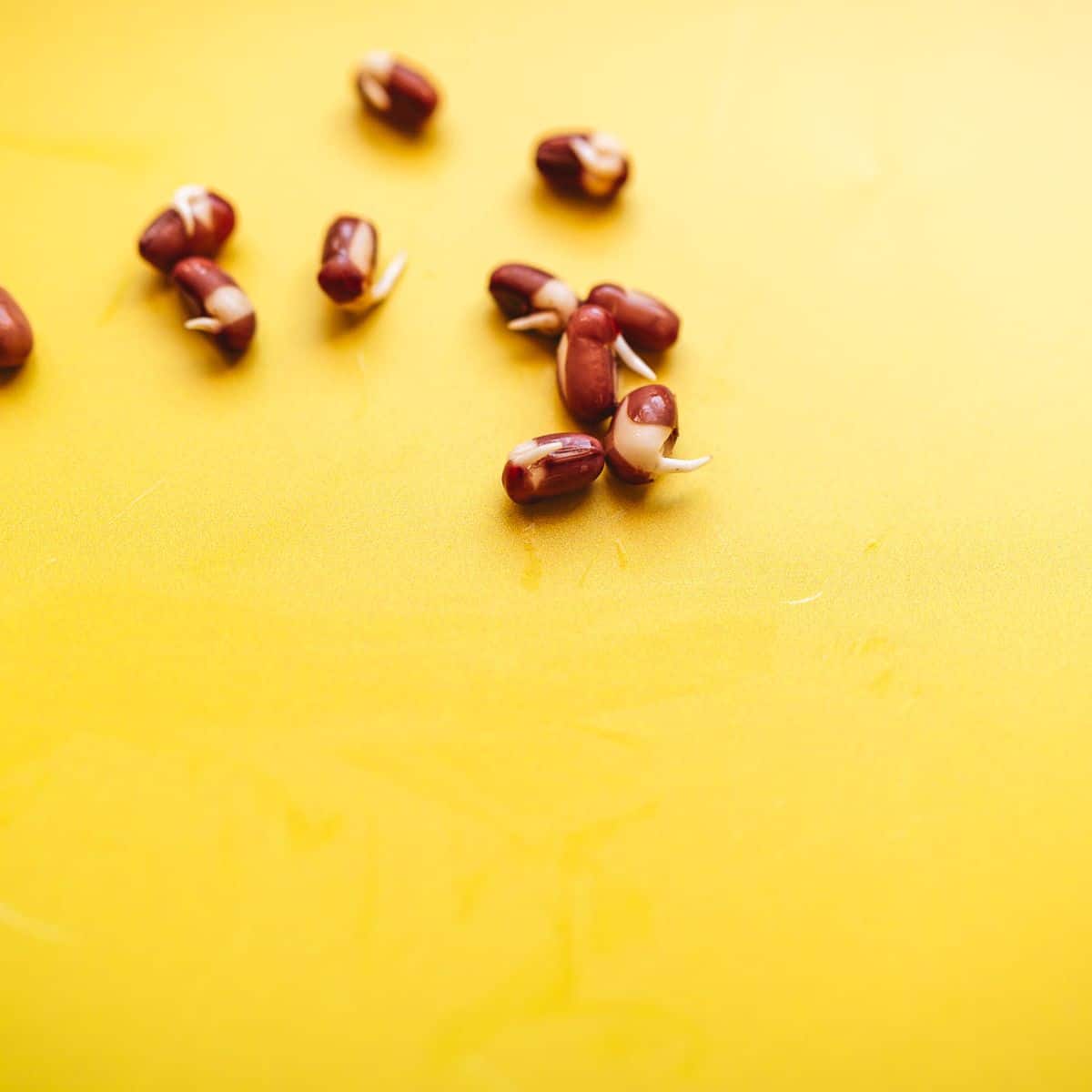 A group of adzuki beans on a yellow surface.