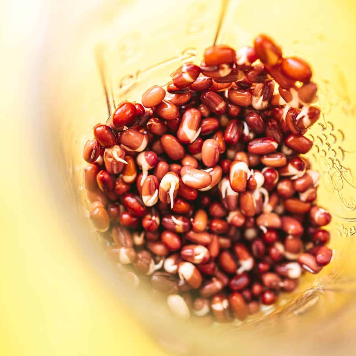 A measuring cup filled with adzuki beans.