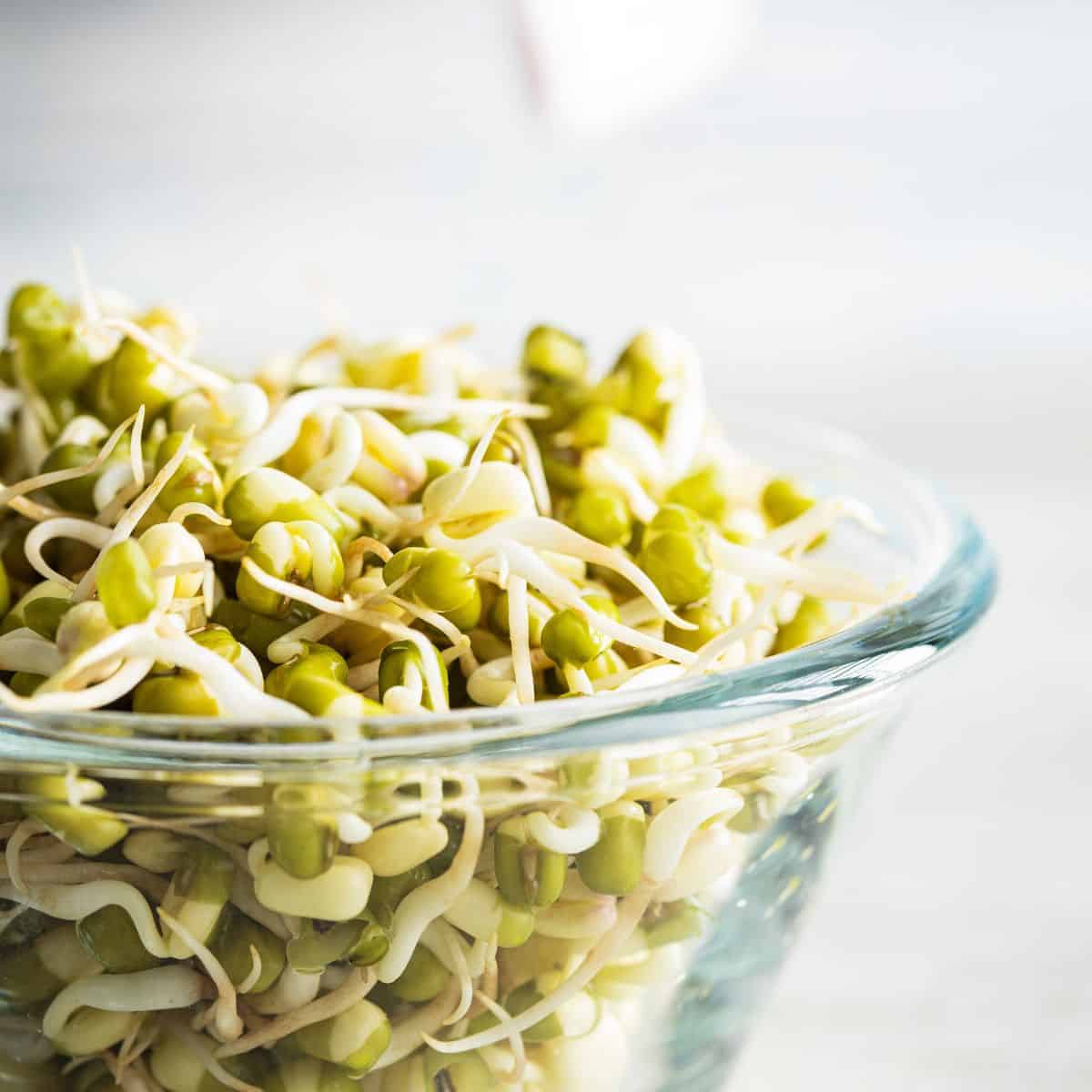 Sprouts in a glass bowl on a table.