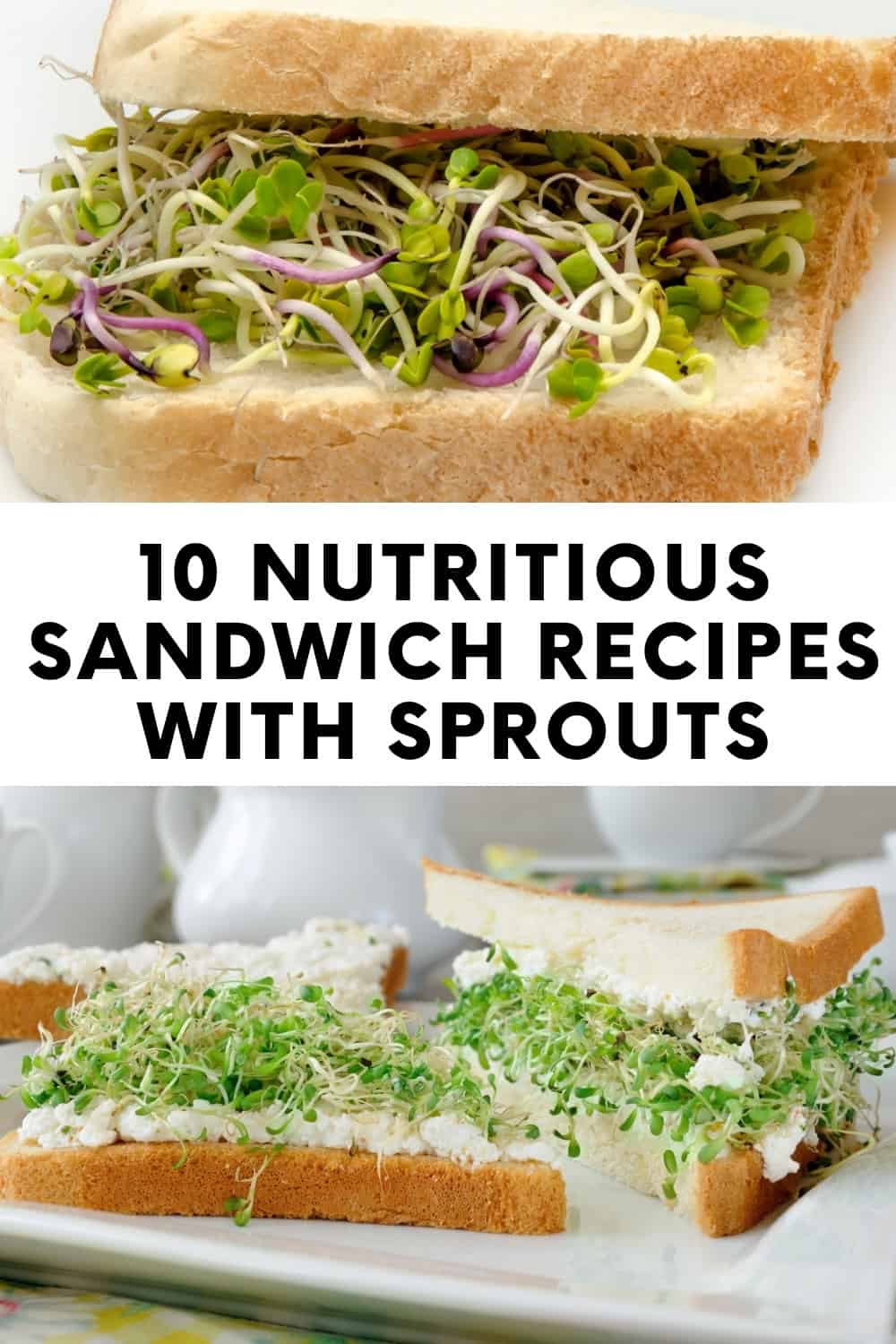 Discover 10 delectable sandwich recipes incorporating the freshness and nutritional benefits of sprouts.