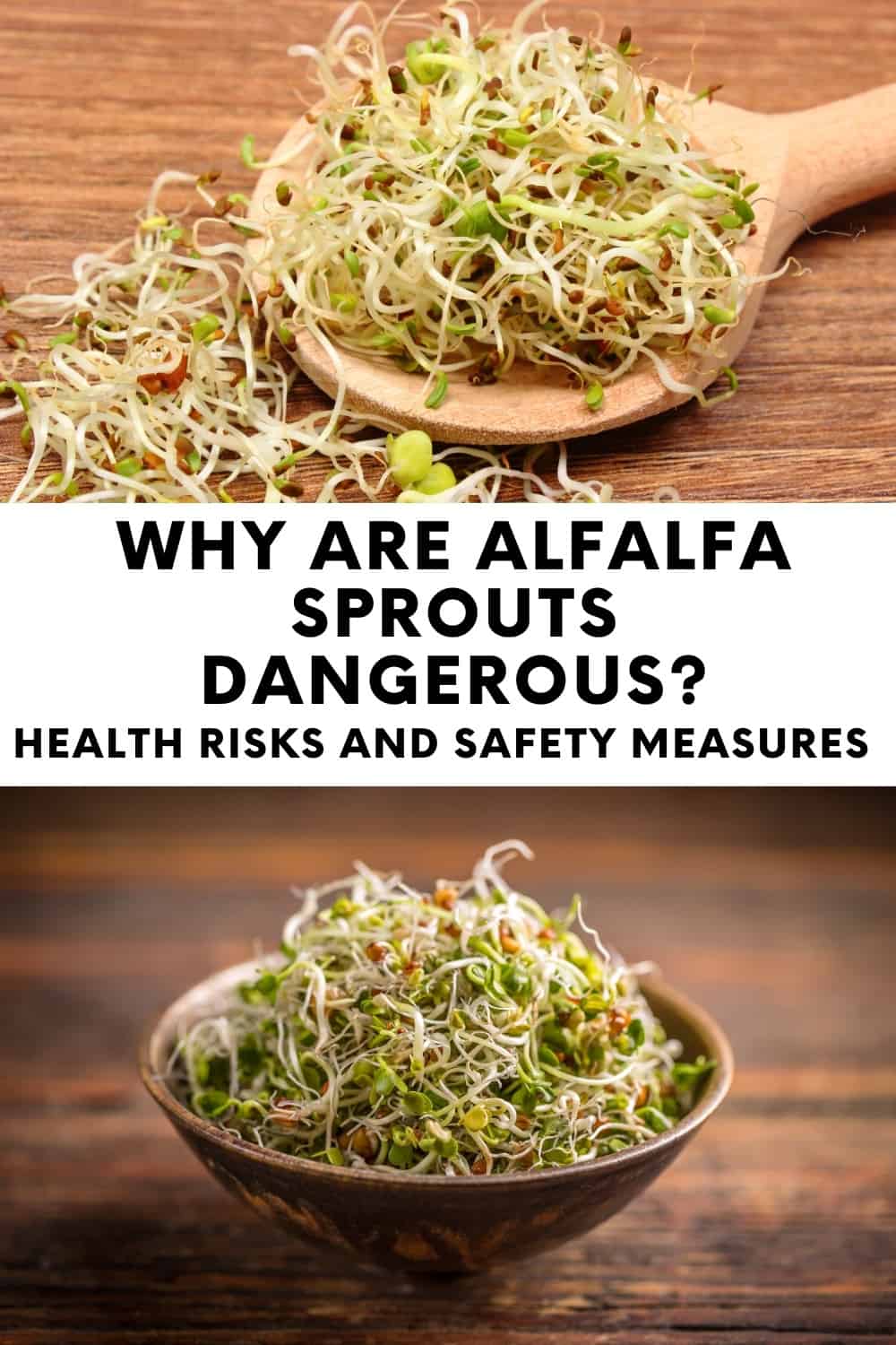 Why are alfalfa sprouts dangerous? The health risk associated with alfalfa sprouts necessitates the implementation of safety measures.