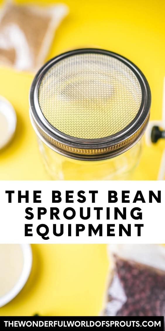 A jar with a mesh lid sits on a vibrant yellow background, surrounded by an array of beans. The text boldly declares it as "The Best Bean Sprouting Equipment," accompanied by a website link below.