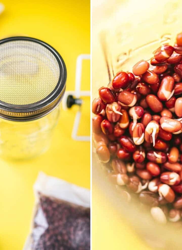 A glass jar with a metal mesh lid, functioning as efficient bean sprouting equipment, holds lively sprouting beans. It sits beautifully on a bright yellow surface, capturing attention with its simplicity and functionality.