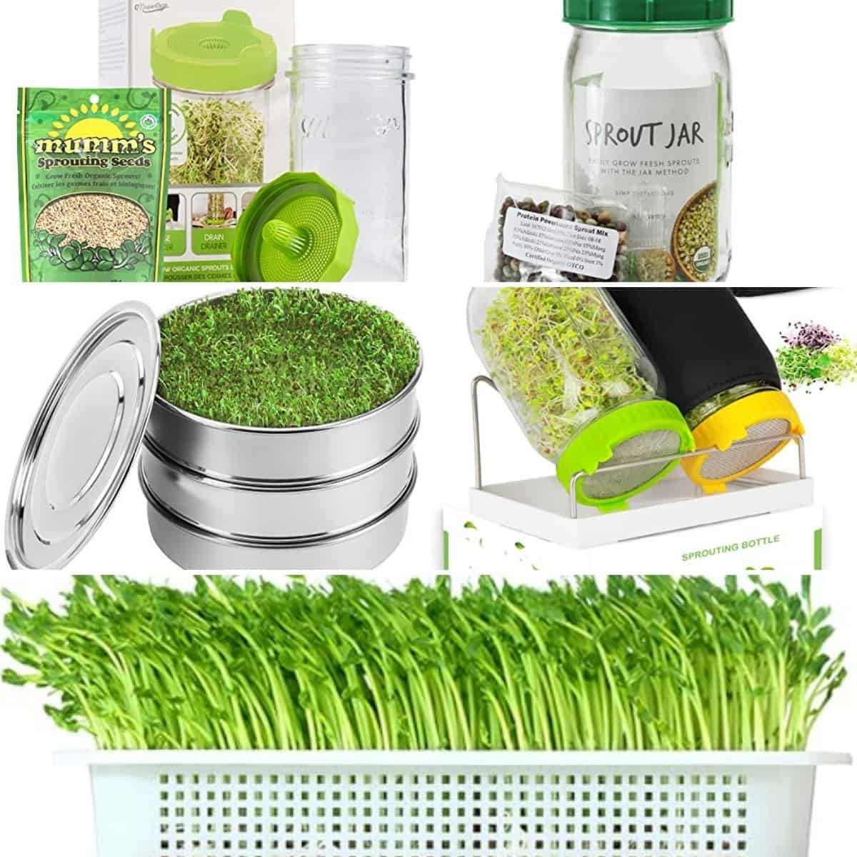 Discover our diverse range of sprouting kits and accessories, featuring jars, lids, sprouting seeds, and trays that beautifully display every stage of sprout growth.