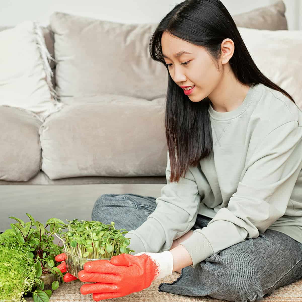A person wearing orange gloves is sitting on the floor indoors, handling potted green plants with a beige sofa in the background.