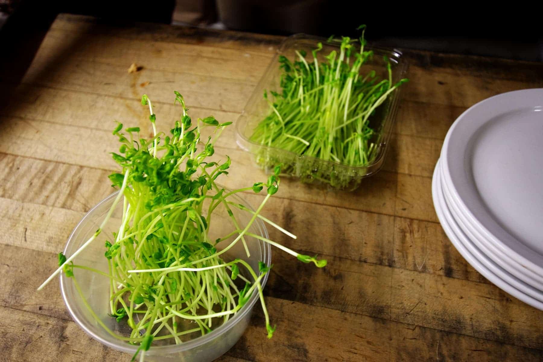 Containers of green sprouts on a wooden table, with a stack of white plates nearby.