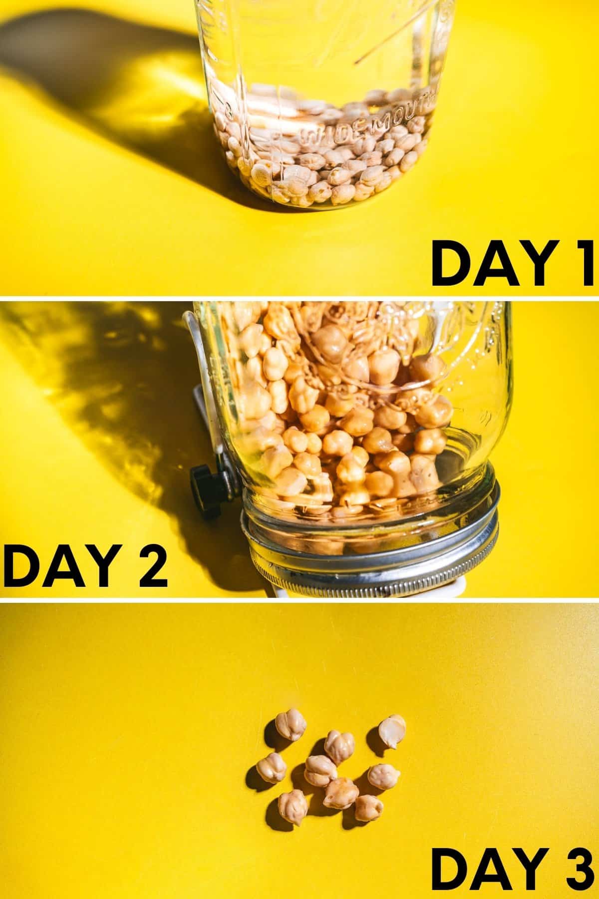 Three-panel image showing how to sprout chickpeas in a jar: Day 1—dry chickpeas, Day 2—plumper chickpeas, Day 3—chickpeas removed from the jar, appearing swollen against a yellow background.